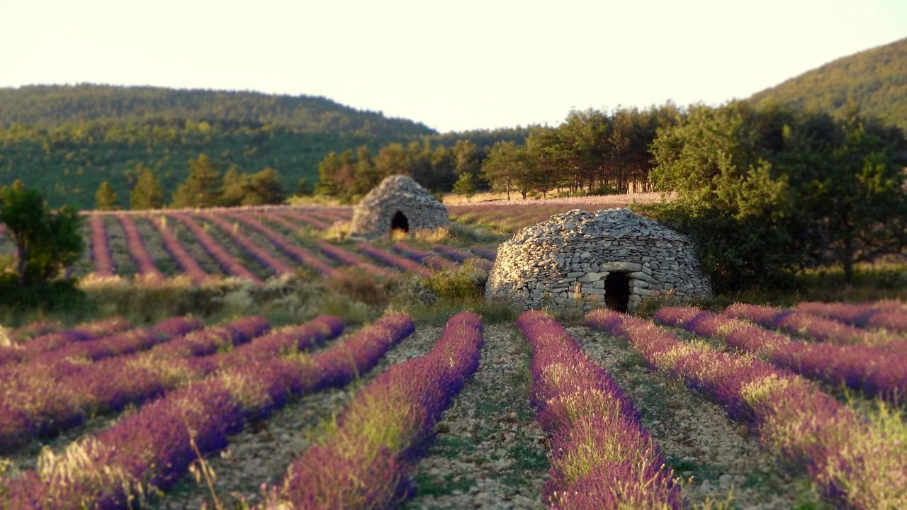 Chateau Ferrassieres Exterior foto
